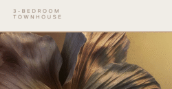 Meraas – Nad Al Sheba Gardens Phase 11